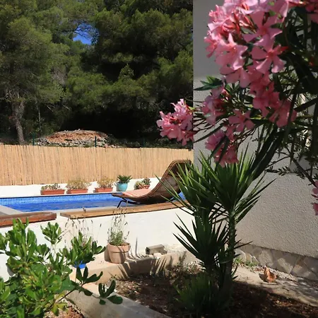 Family Friendly House With A Swimming Pool Rukavac, - 24700 Feriehus Vis