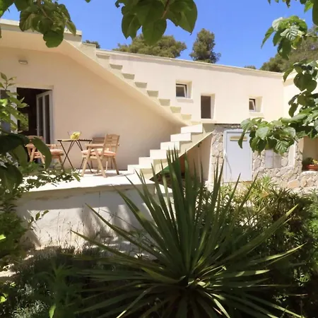 Feriehus Family Friendly House With A Swimming Pool Rukavac, - 24700 Vis